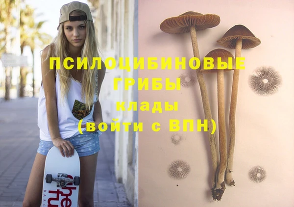 apvp Алексеевка