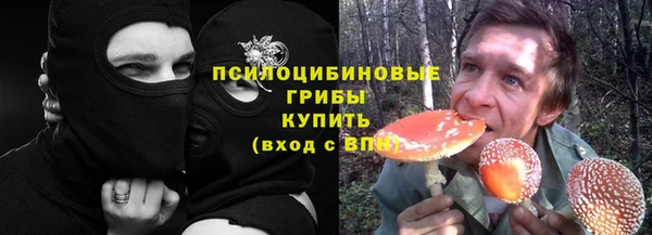 ALPHA PVP Алексин